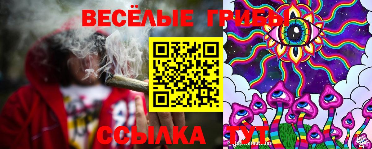 Псилоцибиновые грибы MAGIC MUSHROOMS  Вход с VPN  Шебекино 